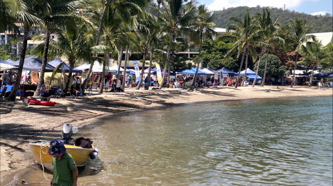Lions Airlie Beach Community Markets - Accommodation Australia 0