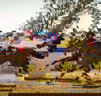 Mungery Picnic Races - Local Tourism