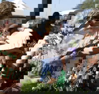 Sale  Producers Market - Local Tourism