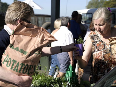 Sale  Producers Market - Accommodation Australia 0