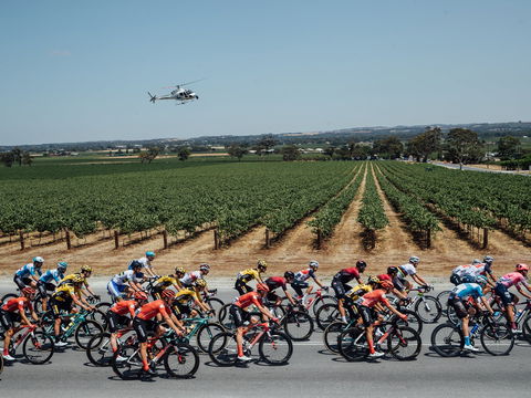 Santos Tour Down Under - Accommodation Australia 0