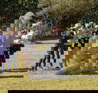 Sculpture for Clyde - Outdoor Exhibition - Local Tourism