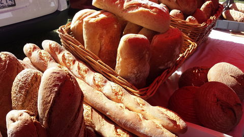 South Geelong Farmers Market - Accommodation Australia 2