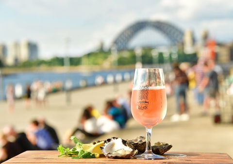 Sparkling Sydney - Accommodation Australia 0