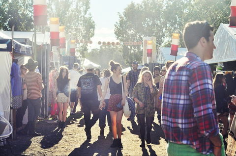 Splendour In The Grass - Accommodation Australia 1