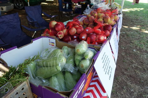 Swan Hill Farmers Market - Local Tourism 2