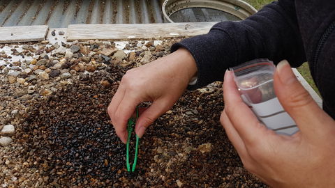 The Minerama Fossicking, Gem And Jewellery Show - Local Tourism 1