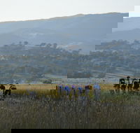 Tumut Cycle Classic - Accommodation Australia