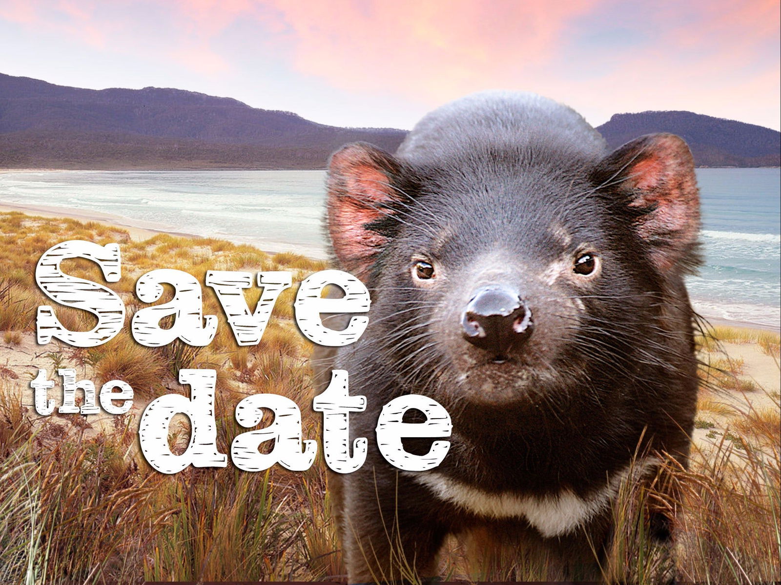 Andover TAS Accommodation Australia