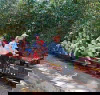 Twilight Run   Willans Hill Miniature Railway - Bed n Breakfasts