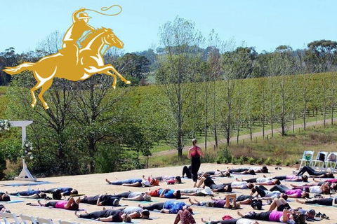 Yoga In The Vines - Local Tourism 0