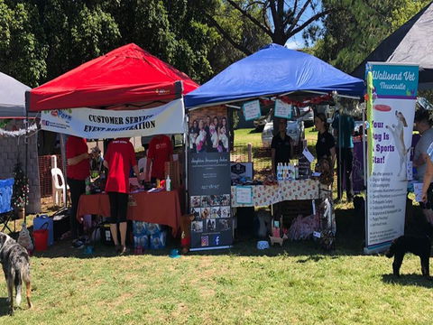 Dogs In The Park NSW Orange - Local Tourism 1