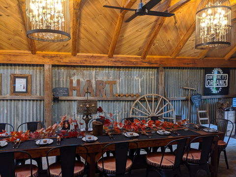 Friday Long Lunch @  Hart Of The Barossa Tasting Shed - Accommodation Australia 0