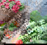 Ma Ma Creek Markets - Local Tourism
