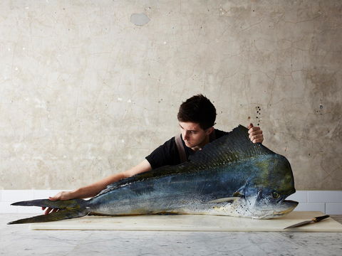 National Photographic Portrait Prize - Accommodation Australia 0