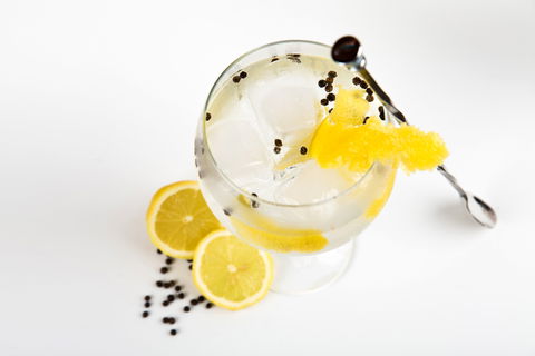 Online Live Streaming Class: Make Four Gin Cocktails - Accommodation Australia 0