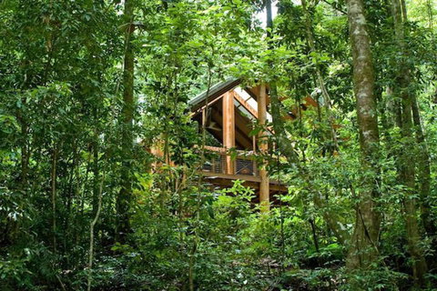 The Canopy Rainforest Treehouses And Wildlife Sanctuary - Local Tourism 1