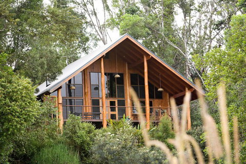 The Canopy Rainforest Treehouses And Wildlife Sanctuary - Local Tourism 2