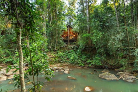 The Canopy Rainforest Treehouses And Wildlife Sanctuary - Local Tourism 0