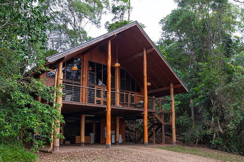 The Canopy Rainforest Treehouses And Wildlife Sanctuary - Local Tourism 3