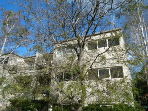 Apartments On Lygon - Local Tourism 2