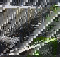 Paradiso Resort Kingscliff - Local Tourism