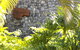 Qualia - thumb 1