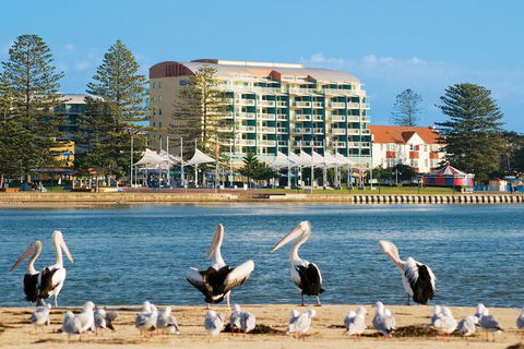 Oaks The Entrance Waterfront Suites - Local Tourism 1