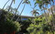 Surfers Del Rey - thumb 3