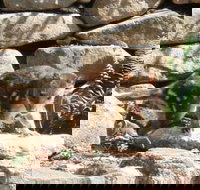 Jenolan Caves House - Accommodation Australia