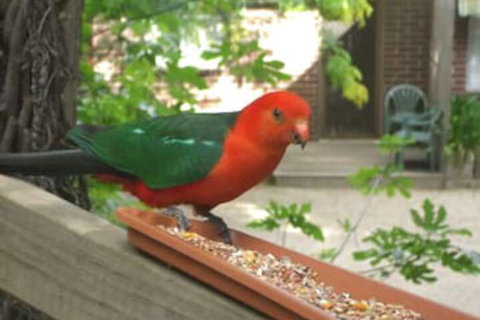 Restaway Holiday Units - Accommodation Australia 1