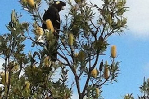 Lake Illawarra B&B - Accommodation Australia 1