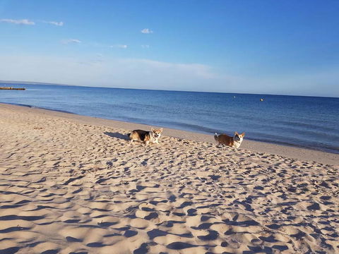 Abbey Beach Shack - Accommodation Australia 5