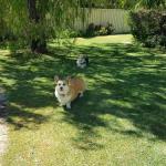 Abbey Beach Shack - Accommodation Australia 0