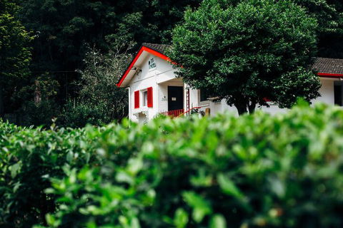 Tall Trees Motel - Accommodation Australia 3