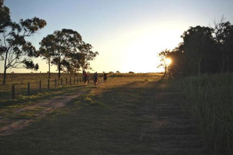 Susan River Homestead - Accommodation Australia 2