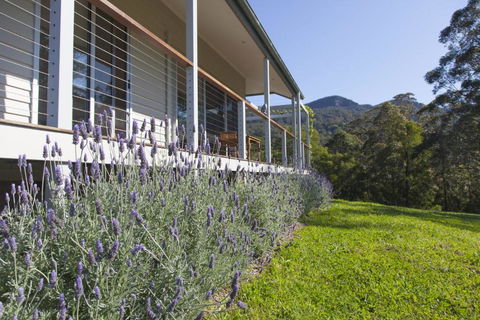 Wilderberry Cottage - Australia Shopping 4