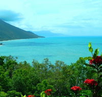 Aquatica Palm Cove - Bed n Breakfasts