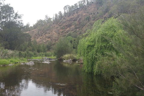 Karamea Homestead - Australia Shopping 1