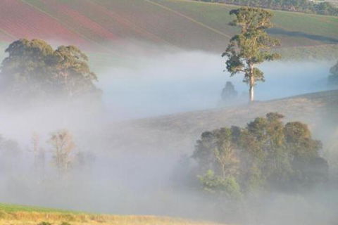 SIGNAL BOX Short Stay - Accommodation Australia 4