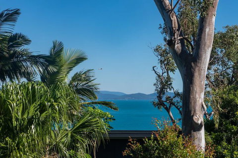 Oasis 26 - Local Tourism 2