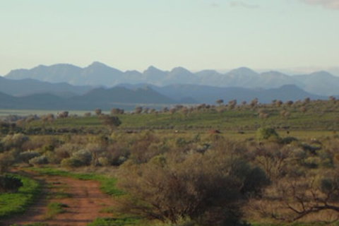 Windana Cottages - Accommodation Australia 0