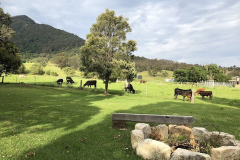 ARCADIA - The Barn Cottage & Rosehill Cottage - Australia Shopping 3