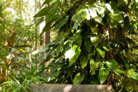 Taman Sari Private Pavilions - Local Tourism 4