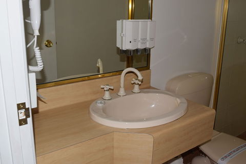 Warwick Vines Motel - Accommodation Australia 2
