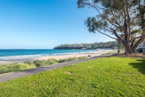 Apartment On Kingston Beach - Local Tourism 0