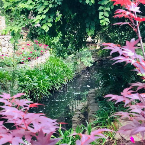 Aldgate Creek Cottage Bed & Breakfast - Accommodation Australia 7