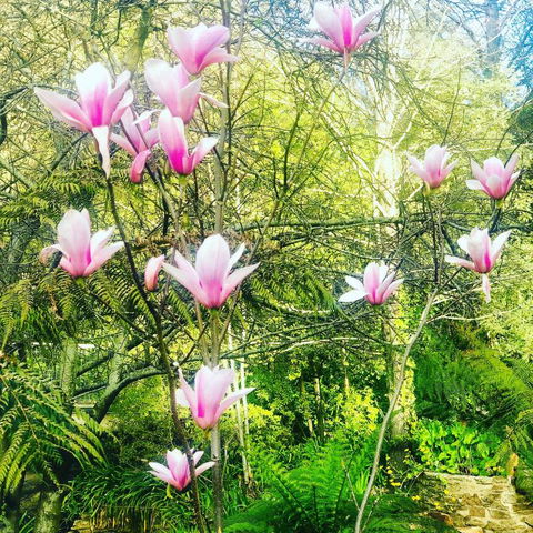 Aldgate Creek Cottage Bed & Breakfast - Accommodation Australia 3