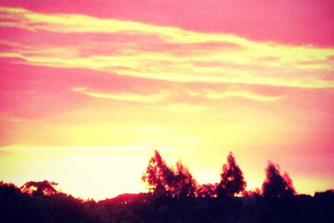 Black Duck Farm - Bed n Breakfasts 4