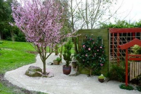 Black Duck Farm - Bed n Breakfasts 6